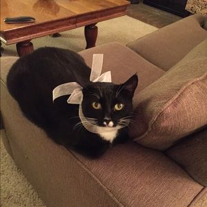 Meet your Posher, Laura